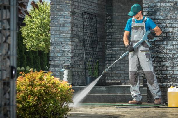 Animal Enclosure Cleaning in New Baltimore, MI